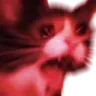red_screaming_cat