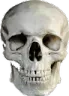 real_spook real_spook