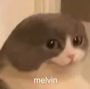 melvin