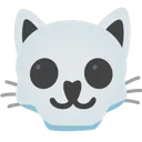 skullcat