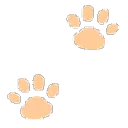d_paw