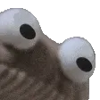 FrogeHmm