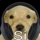 si si