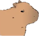 capybara