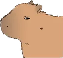 capybaraleft