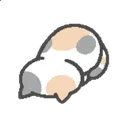 Flop