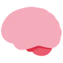 smoof