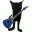 catguitar
