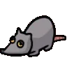 RATPLS