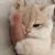 p_caty10