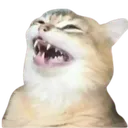 pv_cat_devilside Discord Emoji