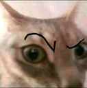 ayO