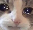 Cri