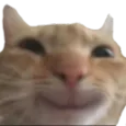 swaghappy