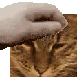 PetTheHush