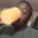 seizure seizure