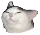 Smugcat smugcat Discord Emoji