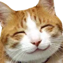 catsmile