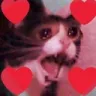 CatLove