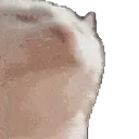 catjam_static