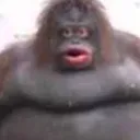 9229monke