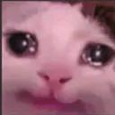 sadjr