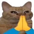 catpray
