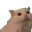 krewli1Meoow