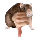 Athumbsdown