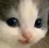 hehe