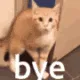 ch_bye