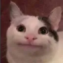 Meh