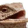 hhhehehe