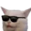 cat_with_glasses Discord Emoji
