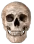 bruh