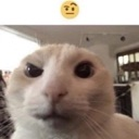 wtf Discord emoji