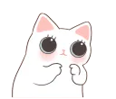 euphw_catplease euphw_catplease