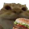 dr_cateat