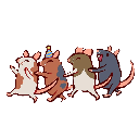 CongaRats Discord emoji