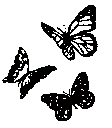 AE_zzzButterflies