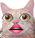 peach_wut Discord emoji