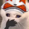 MystaCatWTF MystaCatWTF