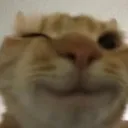 qtcatwink qtcatwink