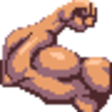 musclel