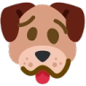 woozydog