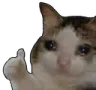 thumbsupsad