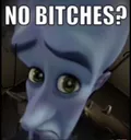 nobitches