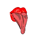 Tongue
