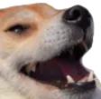 KEKW
