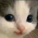 hehe